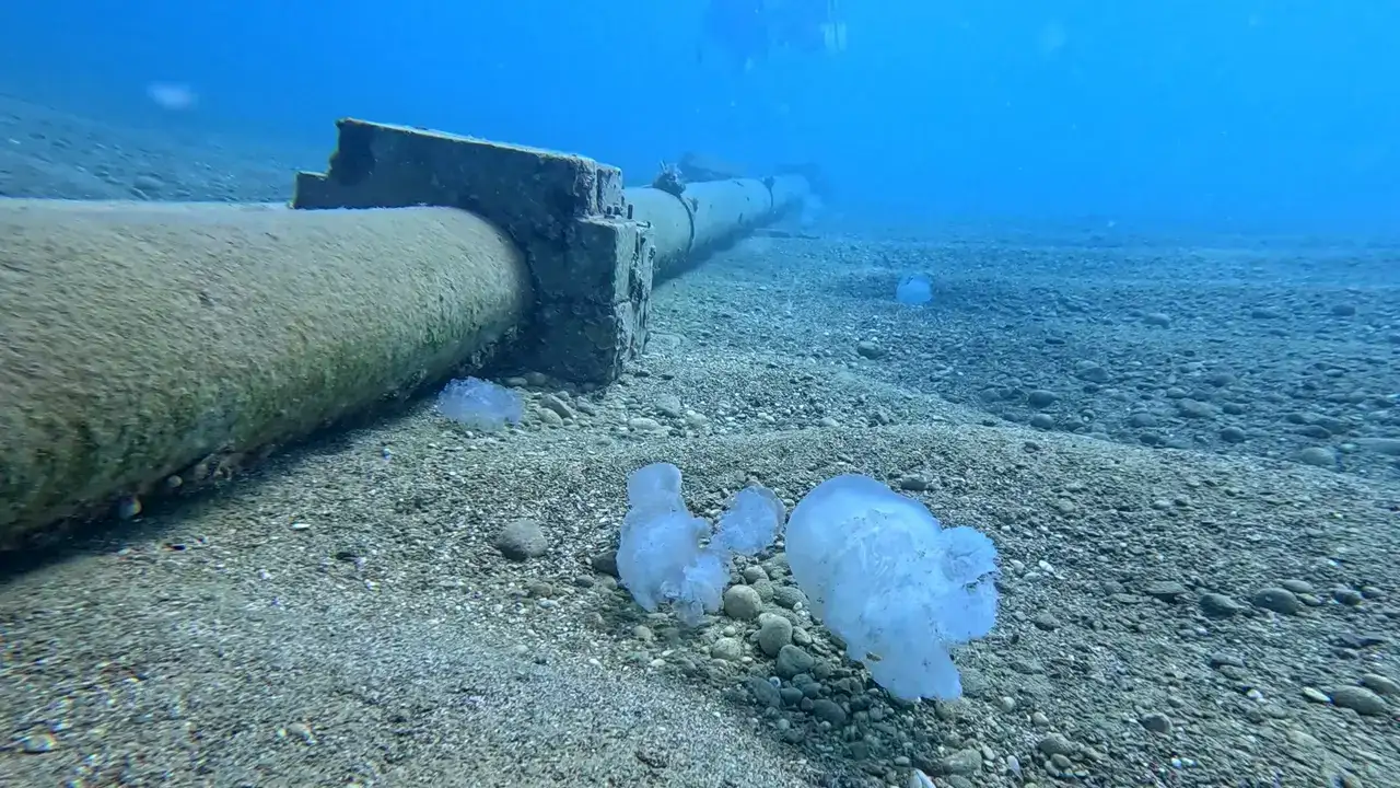 Akdeniz'in Devleri Antalya Körfezi'ni Kuşattı 3